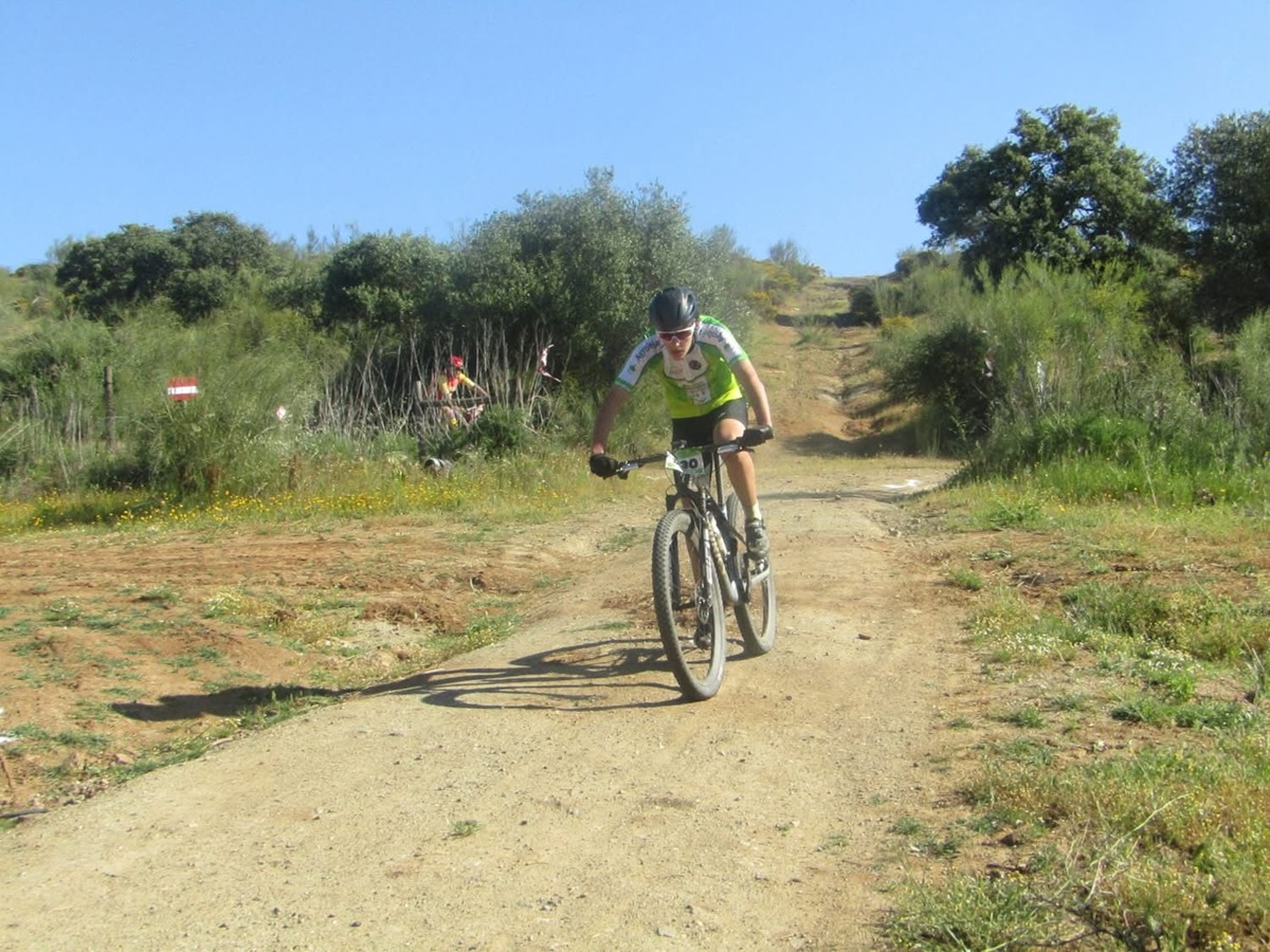 gui_campo.jpg